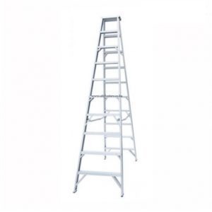 A Type Joint Ladder; 2X10 Steps, Ext Height : 600Cm