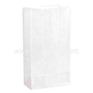 Polycoated Bags, White Size Inches -4 X 6, 1000Pcs/Pkt