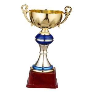 Budget Trophy 30 Dia/Cup(Mm)100 Fb2004B Metal
