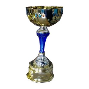 Budget Trophy 30.5 Dia/Cup(Mm)120 Fb2047A Metal