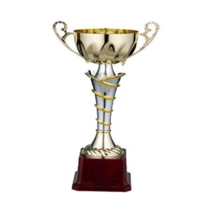 Budget Trophy 34.5 Dia/Cup(Mm)120 Hb7014A Metal