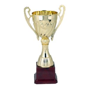 Budget Trophy H 24Cm Dia/Cup(Mm)8Cm Hb2420 Plastic