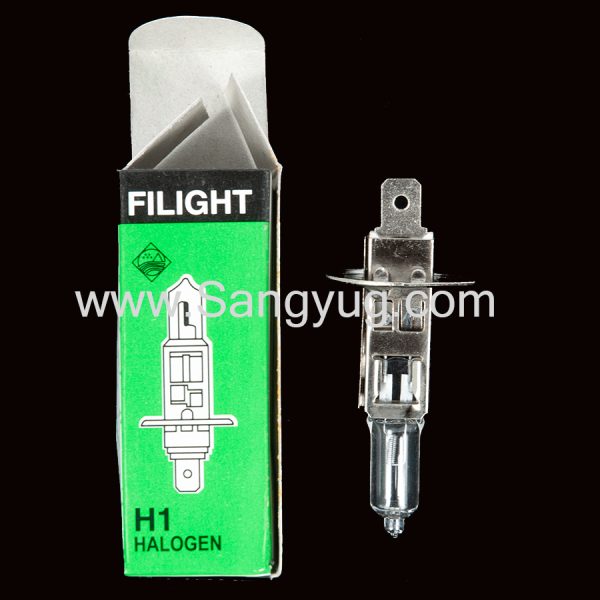 Car Bulb Auto Lamp 12V-55W