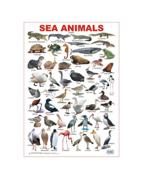 Charts Sea Animals 48X73Cm Dreamland
