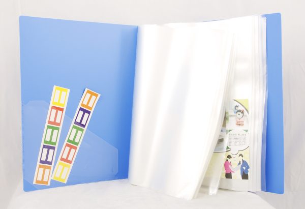 Filing Accessories 100 Pages Assorted Color Sunwood